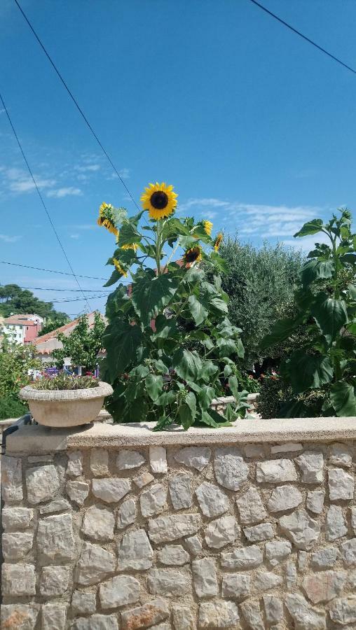 Apartmani Antonio Veli Losinj Ngoại thất bức ảnh